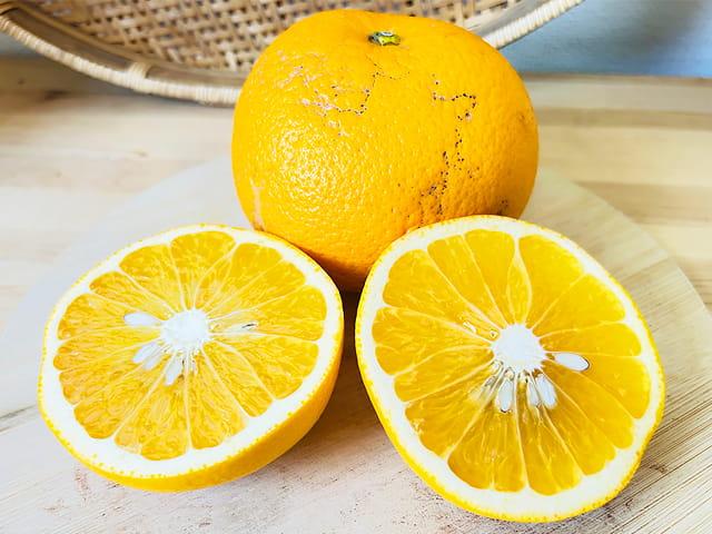 農薬不使用･無堆肥･無肥料自然栽培紅はっさく