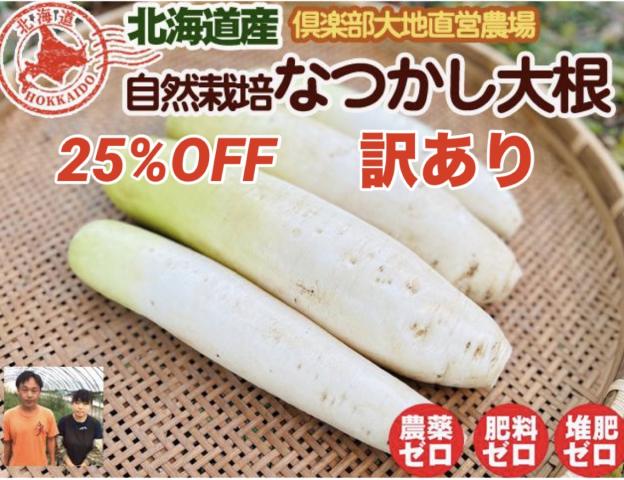 農薬不使用･無堆肥･無肥料【25%OFF】訳あり自然栽培なつかし大根