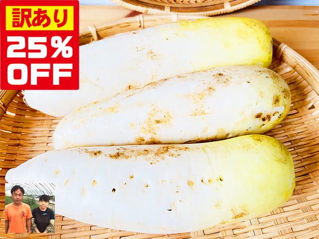 農薬不使用･無堆肥･無肥料【25%OFF】訳あり自然栽培なつかし大根
