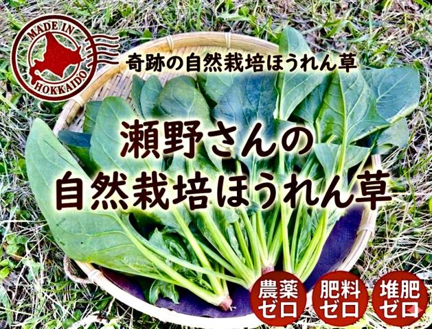 農薬不使用･無堆肥･無肥料瀬野さんの自然栽培ほうれん草