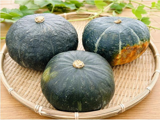 農薬不使用･無化学肥料鹿児島県産自然農法かぼちゃ
