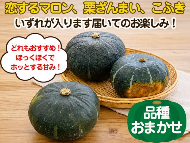 自然栽培の野菜を宅配する倶楽部大地