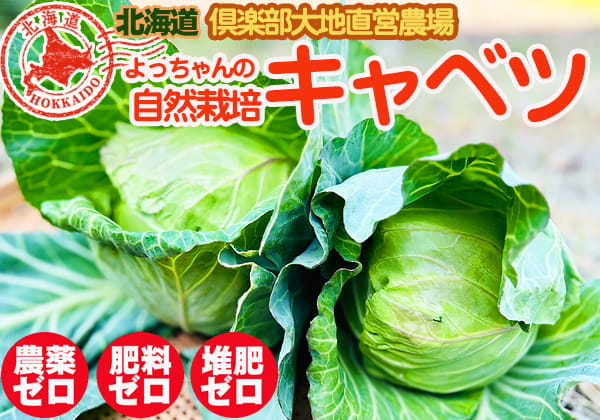 自然栽培の野菜を宅配する倶楽部大地