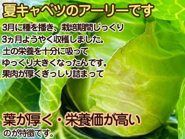 自然栽培の野菜を宅配する倶楽部大地