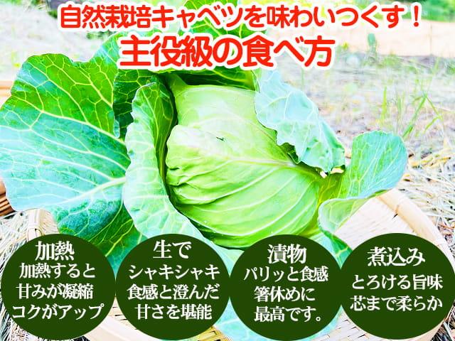 自然栽培の野菜を宅配する倶楽部大地