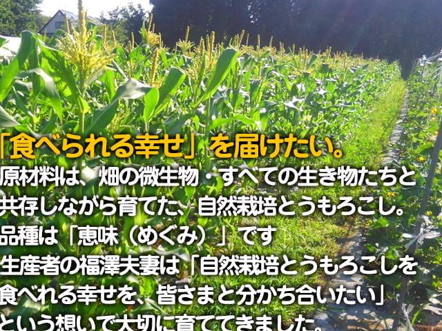 自然栽培の野菜を宅配する倶楽部大地