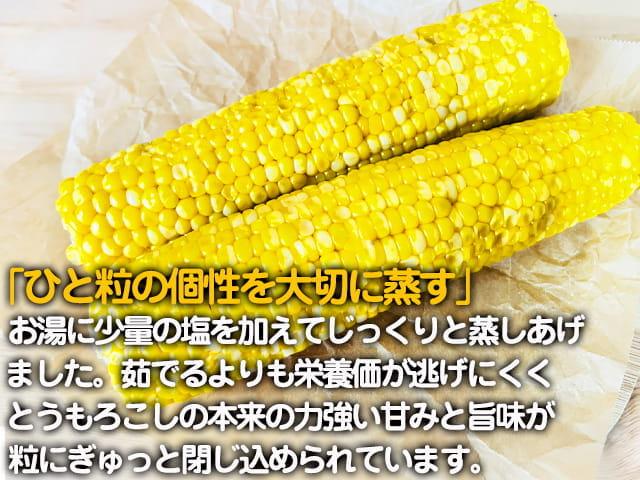自然栽培の野菜を宅配する倶楽部大地