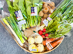 朝霧の野菜ミニセット