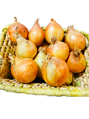 自家採種・有機質農法「北見黄玉ねぎ」Sサイズ3kg