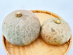 自然栽培雪化粧かぼちゃ2.5kg前後