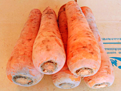 てっちゃんの自然栽培土付き人参A品1kg前後