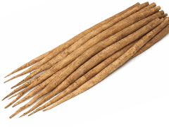 自然栽培ごぼうSL混み5kg前後