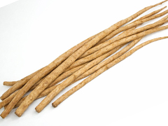 自然栽培ごぼうSL混み1kg前後