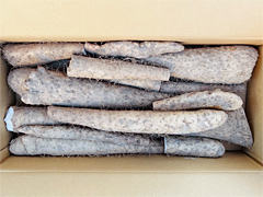 中西さんの有機農法長いもB品10kg前後