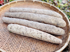 中西さんの有機農法長いもA品3kg前後