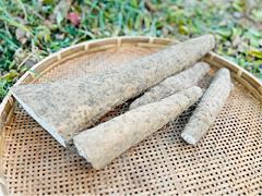 中西さんの有機農法長いもB品3kg前後