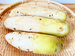 自然栽培なつかし大根2S～M混みサイズ1.8kgセット