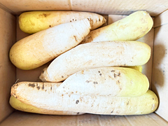 自然栽培の野菜を宅配する倶楽部大地