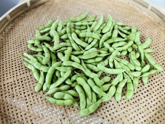野趣菜園様　えだまめの葉 野趣菜園様 えだまめの葉 家庭菜園や農園の枝豆栽培で梅雨は