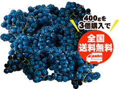 【送料無料】自然栽培山ぶどう3袋セット