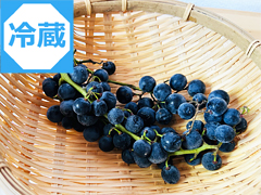 【冷蔵便】自然栽培山ぶどう100g