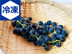 【冷凍便】自然栽培山ぶどう100g