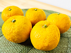 自然栽培ゆず500g前後