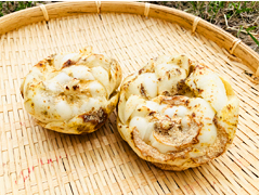 自家採種ゆり根（訳あり品）L～3L混み500g