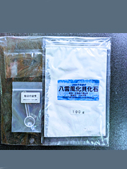 【送料無料】八雲風化貝化石カルシウム100g袋入り