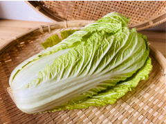 奇跡の自然栽培白菜「晴黄美人」3Sサイズ