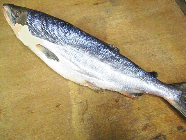 北海道産銀鮭の山漬け4kg前後