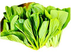 自然栽培小松菜250g
