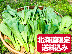 【北海道限定】よっちゃんの自然栽培小松菜700g送料込み