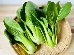 自然栽培チンゲン菜500g前後