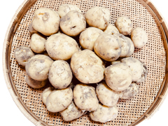有機質農法男爵いもSL混み5kg
