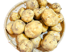 有機質農法男爵いもSL混み3kg