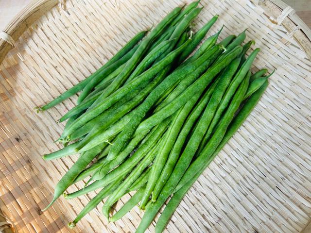 自家採種・自然栽培さやいんげん300g