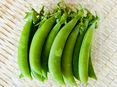 自家採種・自然栽培スナップエンドウ150g