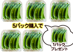 【増量】自家採種・自然栽培スナップエンドウ5パック+1パック