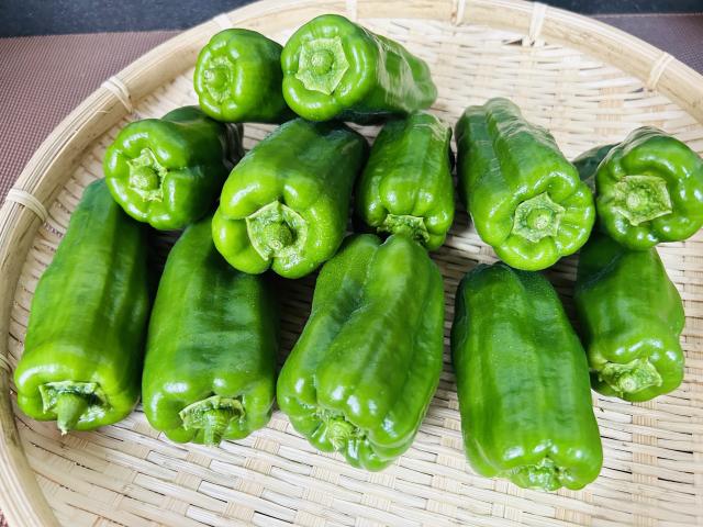 自家採種・自然栽培ピーマン500g