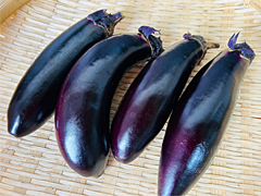 自家採種・自然栽培なす350g前後