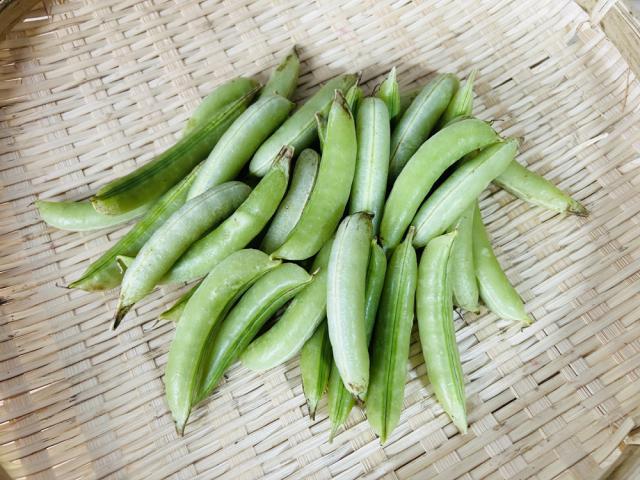 自然栽培さや付きグリーンピース300g