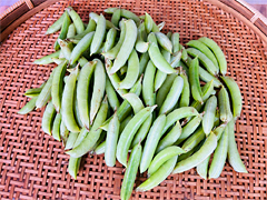 自然栽培さや付きグリーンピース1kg