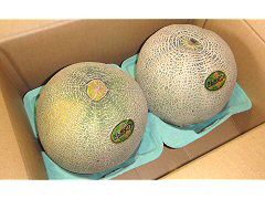 【30％オフ】自然栽培ぎんがメロン訳あり品1.6kg×2玉
