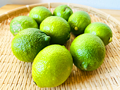 自然栽培グリーンレモン1kg前後