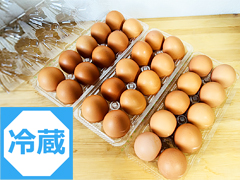 【特売】ユニファームの平飼い有精卵MSサイズ（冷蔵）30個