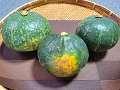 自然栽培越冬かぼちゃ3kgセット