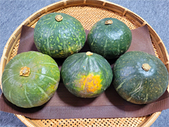 自然栽培越冬かぼちゃ5kgセット