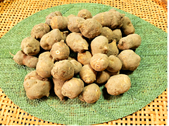 奇跡の自然栽培菊芋「長寿の根」Sサイズ1kg