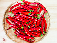 自然栽培・固定種赤唐辛子「札幌ほんから」500g